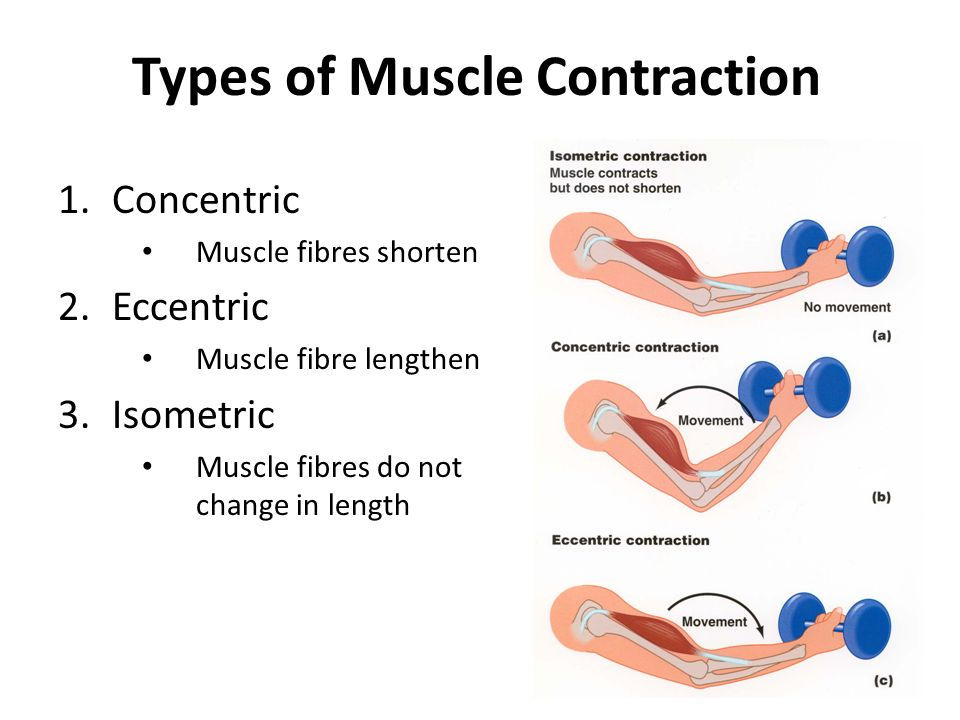 What is eccentric exercise and how does it promote heart health
