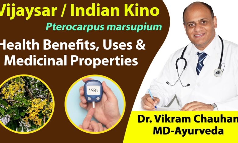 Benefits of drinking vijaysar wood water and how to make it