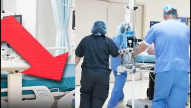 Senators probe private equity hospital operations