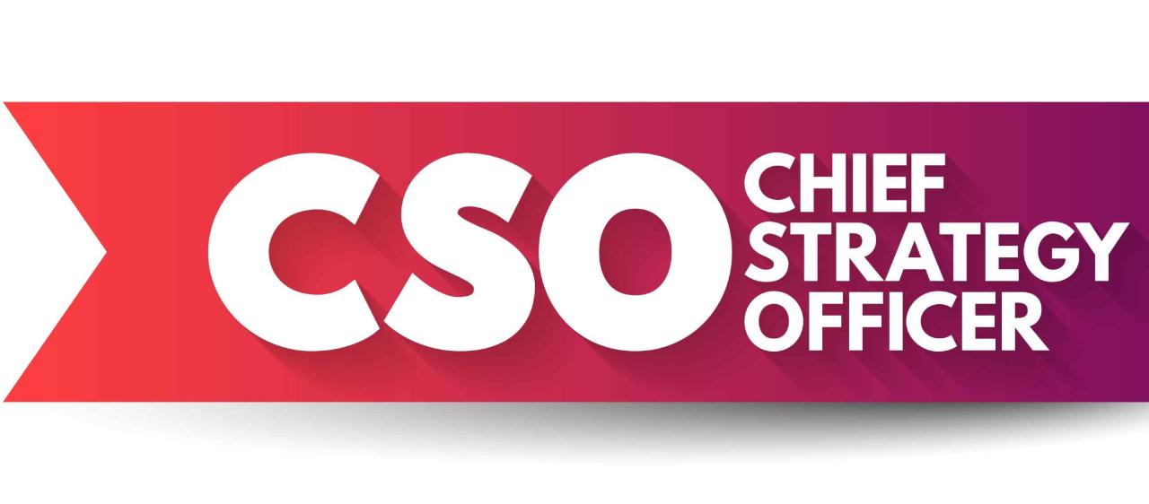 Commonspirit new chief strategy officer sheri shapiro