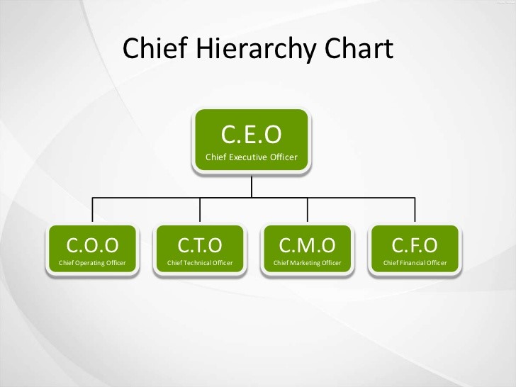 Cfo coo hierarchy cto cmo executive basic functions itu apa perusahaan struktur
