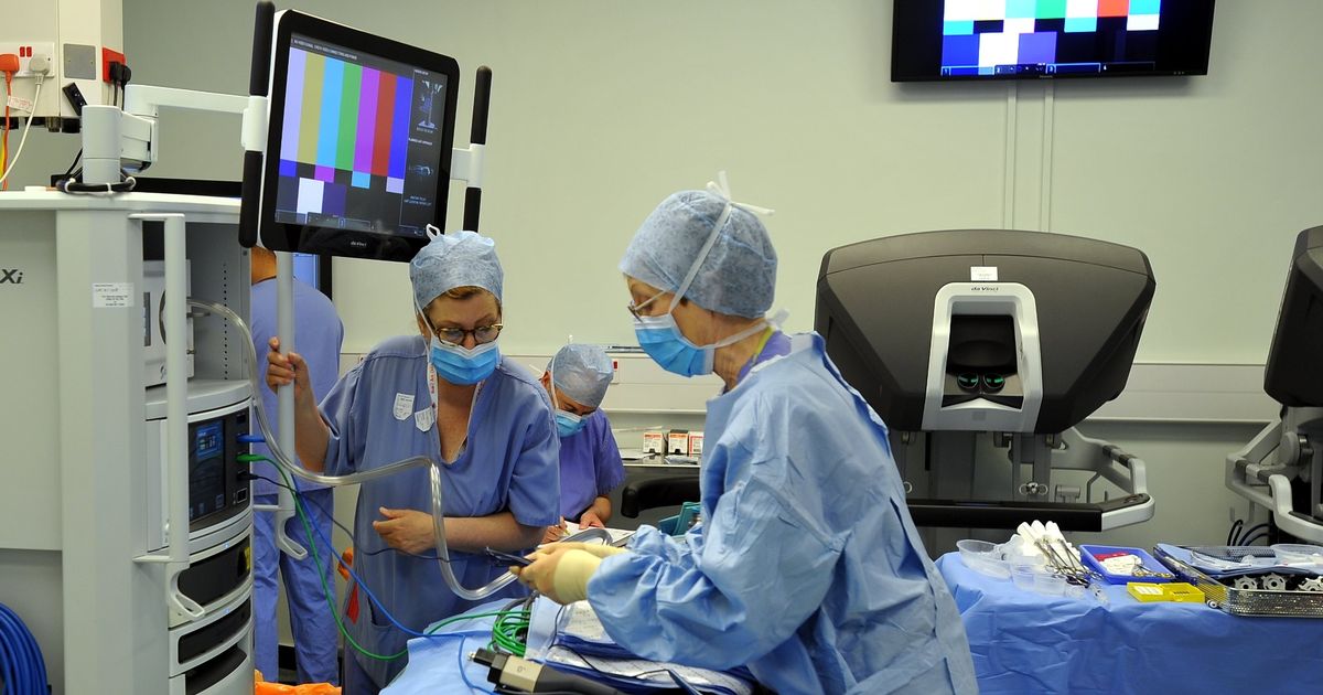 Fda approves clinical trials for pig kidney transplants in humans