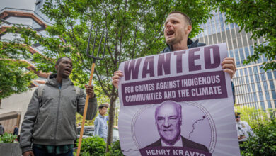 Kkr talks buy stake cotiviti veritas capital