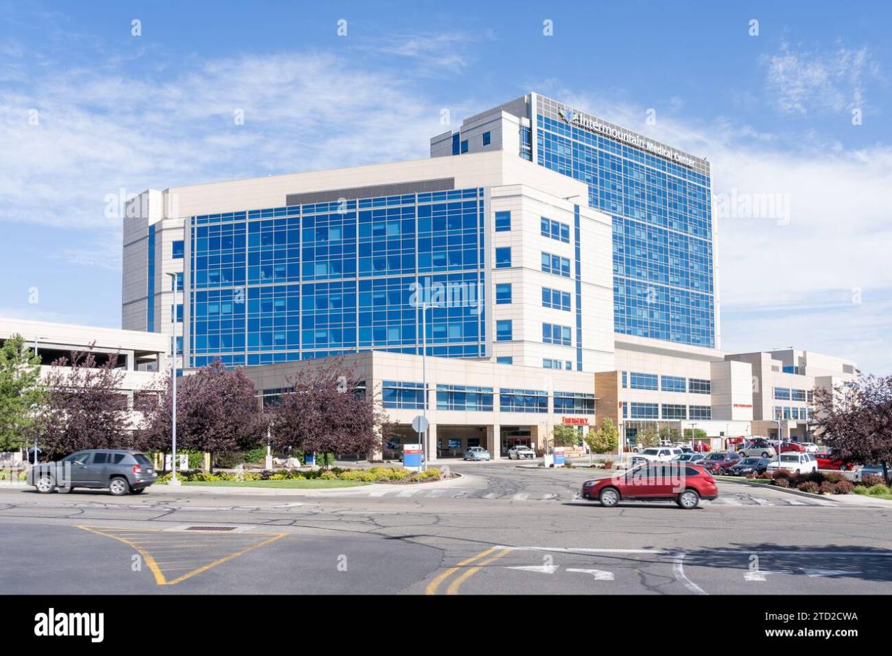 Omada partners with intermountain diabetes management utah castell