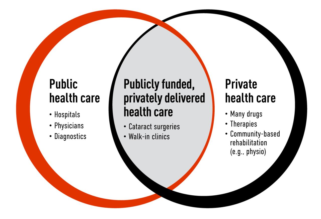 Non physician ownership reduces care quality physician advocacy institute