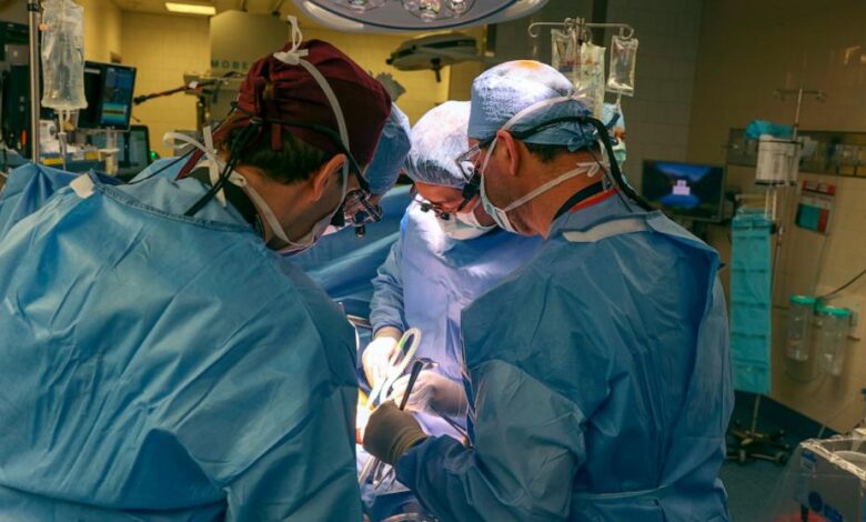Fda approves clinical trials for pig kidney transplants in humans