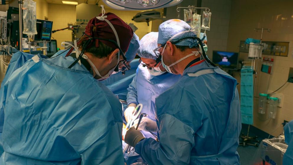 Fda approves clinical trials for pig kidney transplants in humans