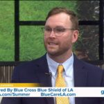 Elevance acquire blue cross blue shield louisiana