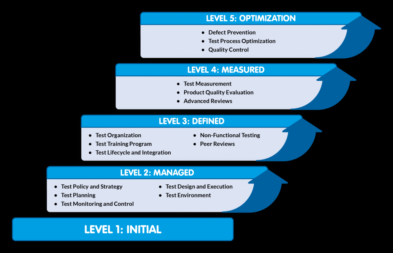 Cms cmmi poor data quality health equity payment models