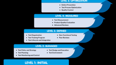 Cms cmmi poor data quality health equity payment models