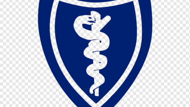 Elevance bcbs louisiana merger pause