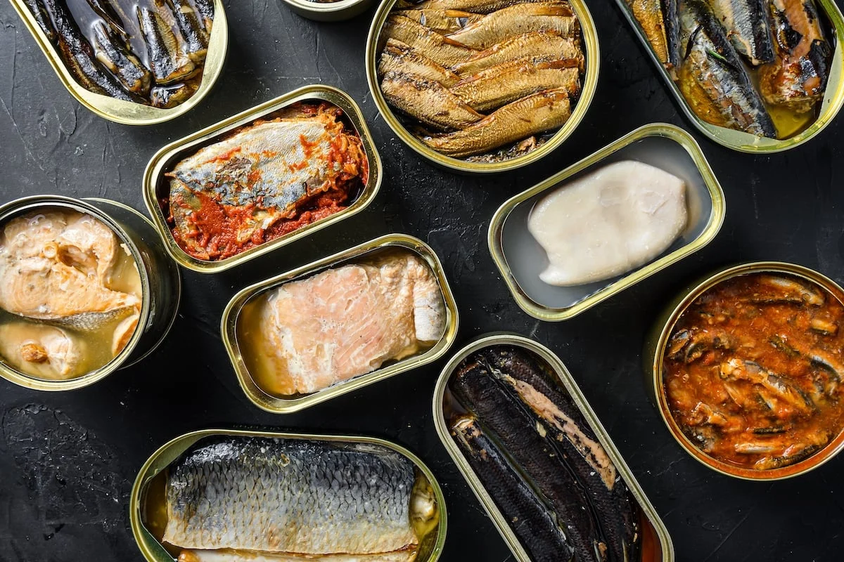 The Humble Anchovy Emerges as a Nutritional Powerhouse and Economical Superfood According to Leading Health Experts
