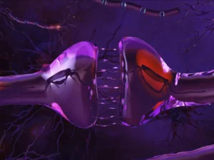 How Deep Sleep Reshapes the Brain to Build Resilience Against Chronic Stress