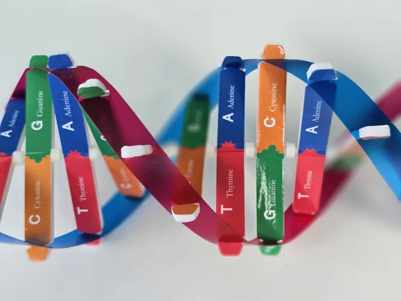 Editing the human genome: Between scientific breakthroughs and the necessity of ethical vigilance