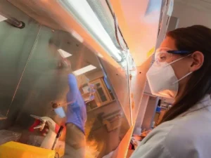 The Pharmacy of the Deep: How Marine Biodiversity is Shaping the Future of Medicine