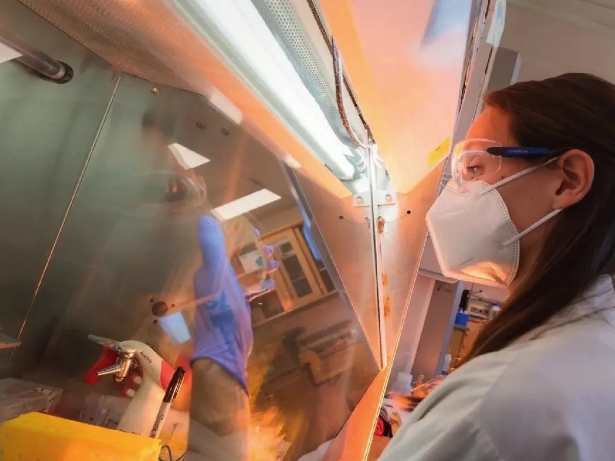 The Pharmacy of the Deep: How Marine Biodiversity is Shaping the Future of Medicine